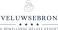 VELUWSEBRON logo 2022 fc